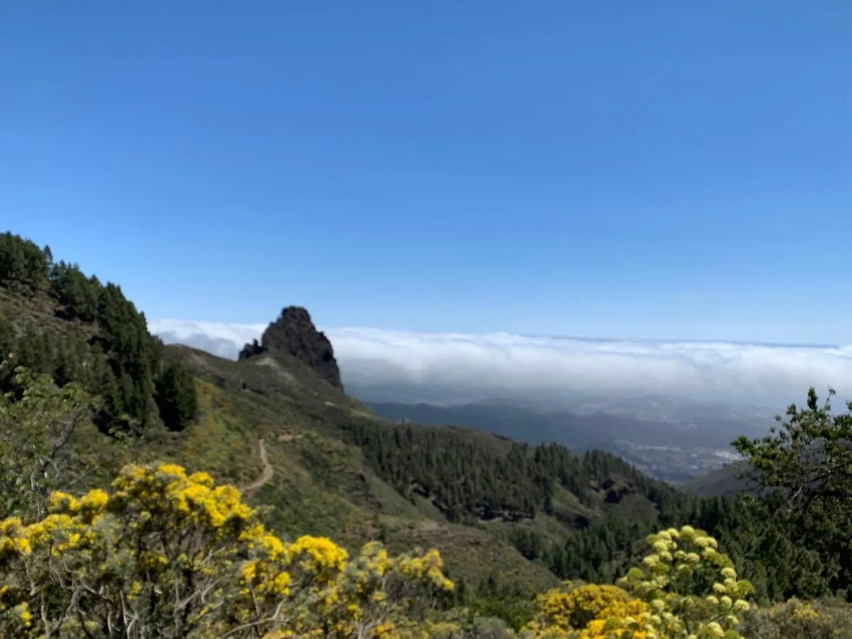 Villa Rosaura Las Palmas de Gran Canaria Appart hôtel